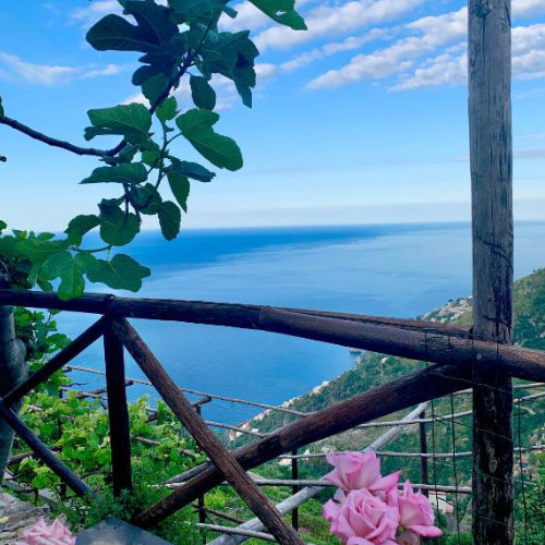 Vue depuis l’Agriturismo Sant’Alfonso à Furore avec balcon fleuri et panorama sur la mer.