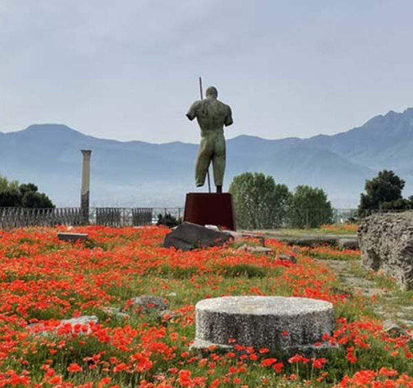 Champ de coquelicots et statue parmi les ruines de Pompéi.