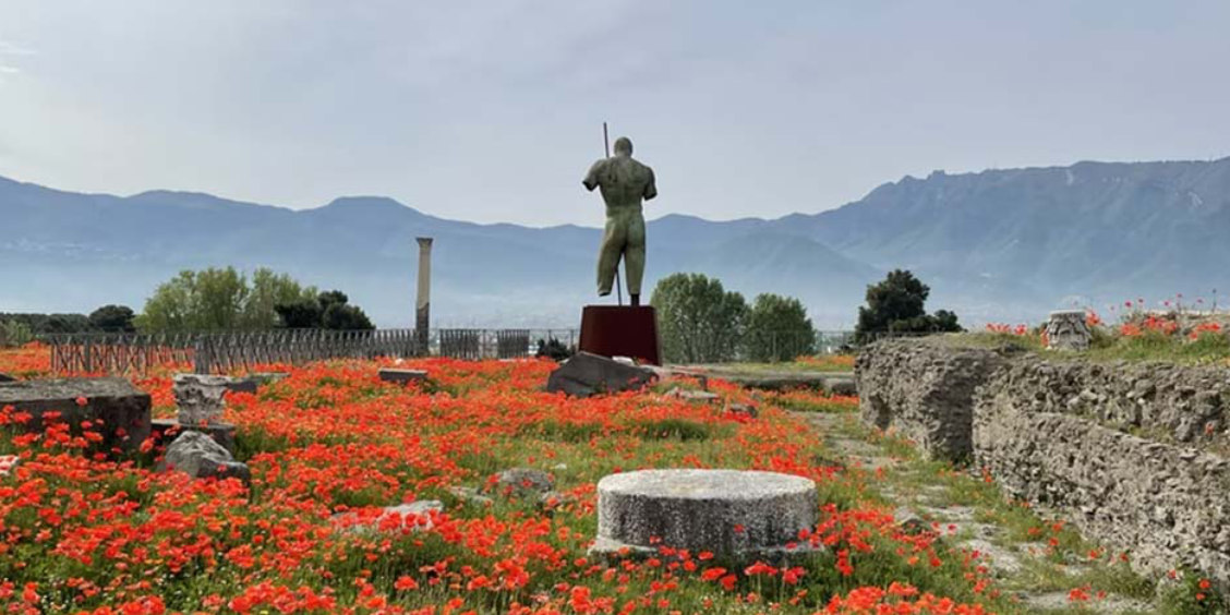 Champ de coquelicots et statue parmi les ruines de Pompéi.