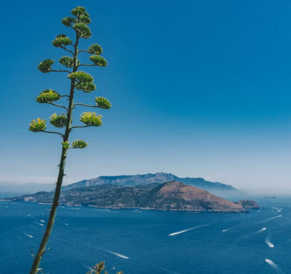 Panorama de Capri.