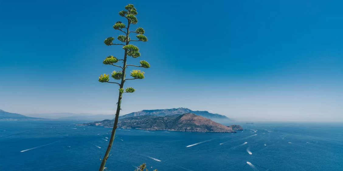 Panorama de Capri.