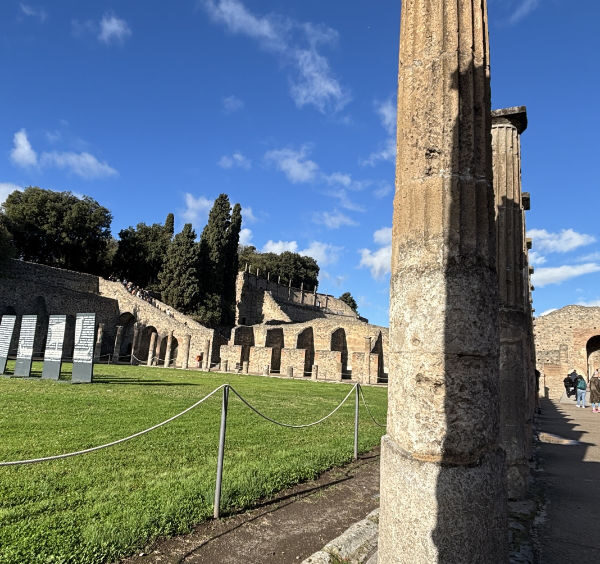 Vaste cour herbeuse et colonnes antiques de la Caserne des Gladiateurs à Pompéi.