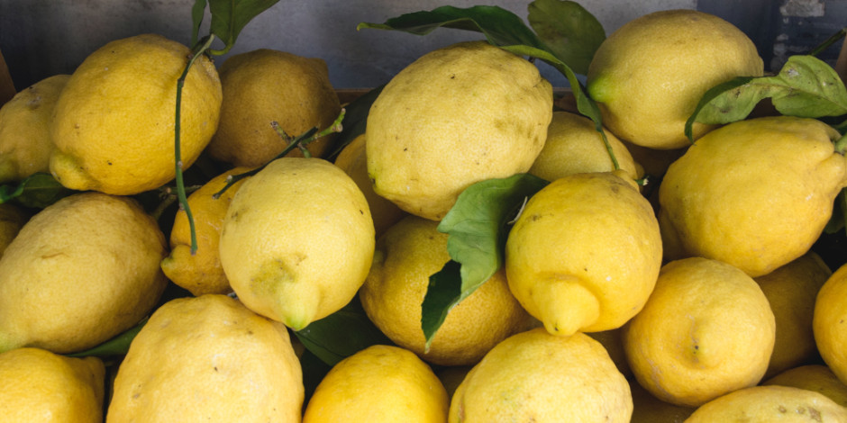 Citrons de Sorrente frais avec feuilles vertes, spécialité typique de la péninsule sorrentine.