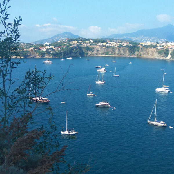 Excursion en bateau à Procida : voiliers et yachts au mouillage dans les eaux cristallines de la Campanie.