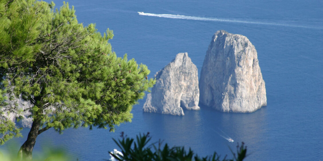 Vue des rochers Faraglioni à Capri à travers les branches d'un pin avec des bateaux sur la mer bleue.