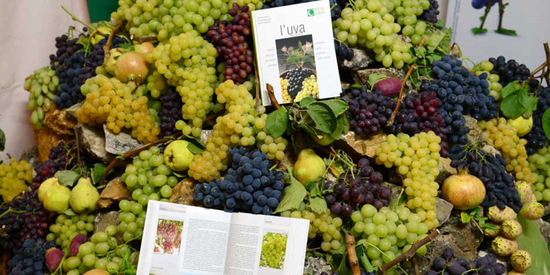 Raisins de différentes variétés exposés lors d’un festival gastronomique à Sorrente.