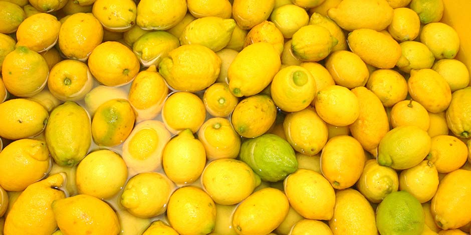 Citrons frais de Sorrente dans l’eau pour la fête du citron.