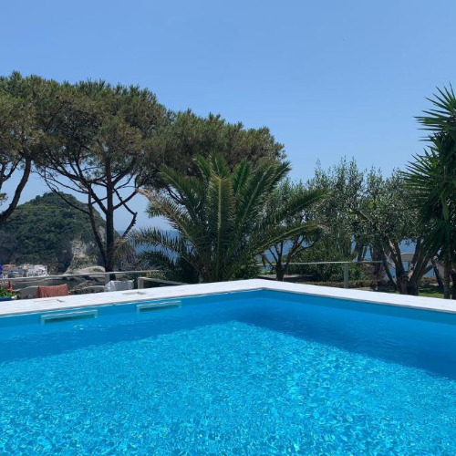 Piscine avec vue à l'Hôtel Casa Adolfo.