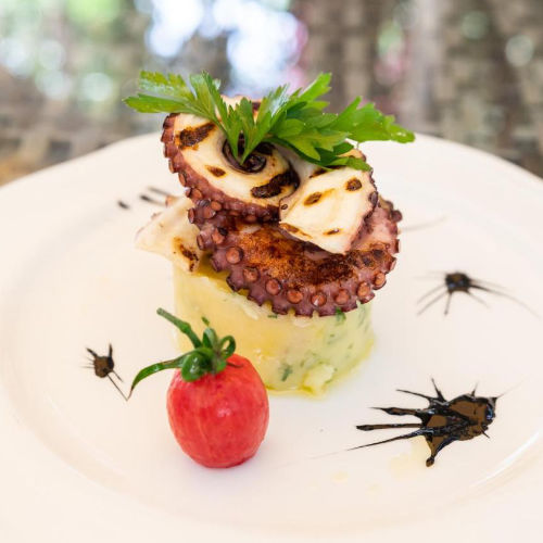 Assiette de poulpe grillé sur écrasé de pommes de terre, spécialité du restaurant.