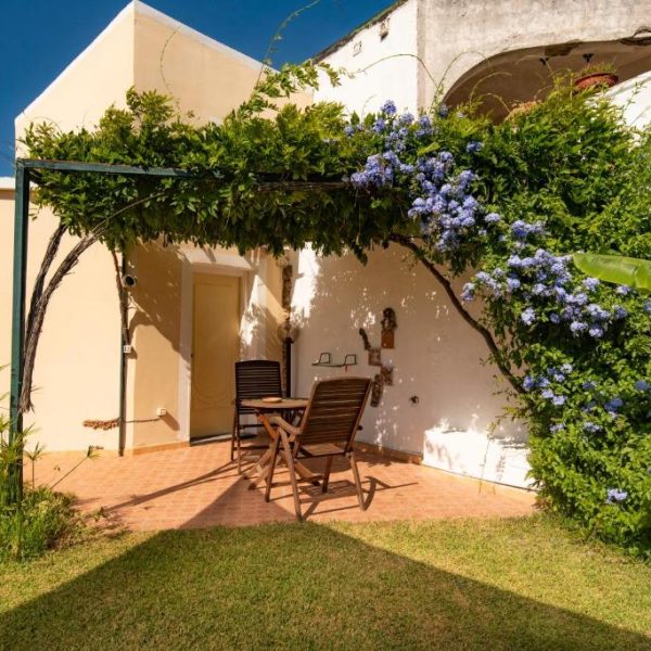 Terrasse ombragée par des fleurs bleues dans le jardin de l'Hôtel Savoia à Procida.