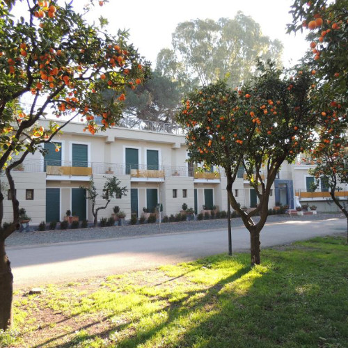 Façade de l'Hôtel Zeus entourée d'orangers dans un cadre verdoyant.