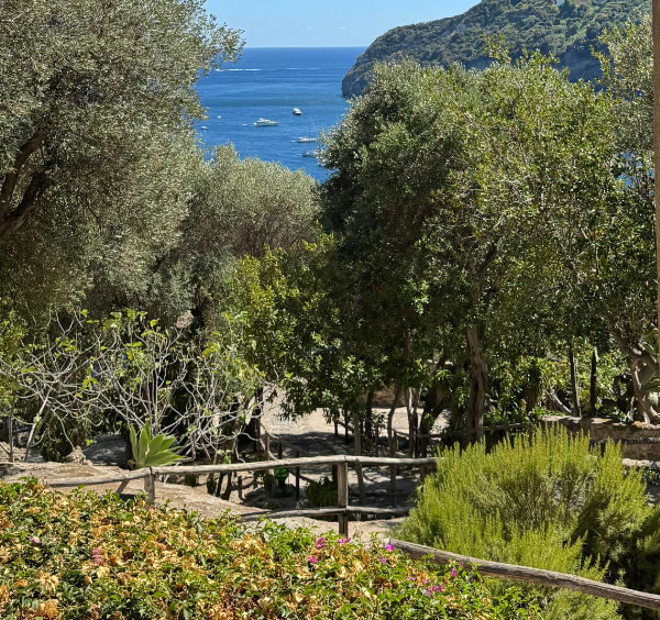 Vue sur la mer et les jardins depuis une fenêtre à Ischia.