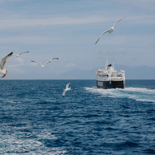 Grand ferry en mer escorté par des mouettes au large d'Ischia Porto.