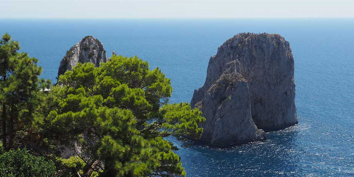 Vue des rochers Faraglioni depuis les Jardins d'Auguste à Capri, encadrée par des pins sur fond de mer bleue.