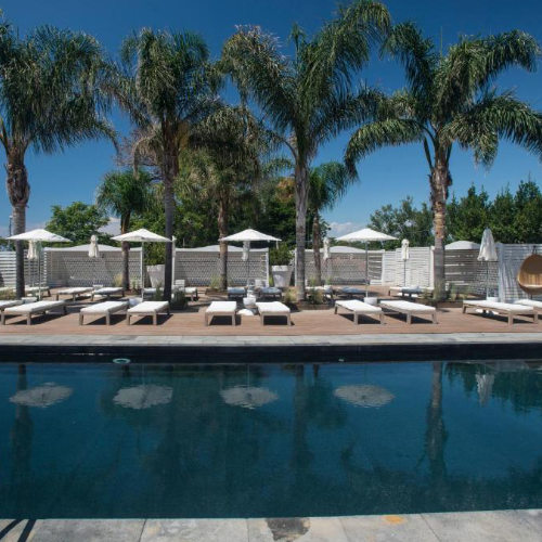 Piscine bordée de palmiers et de transats à La Suite Boutique Hotel.