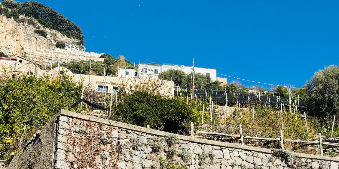 Terrasses cultivées de Pastena à Amalfi avec citronniers et maisons sur la colline.