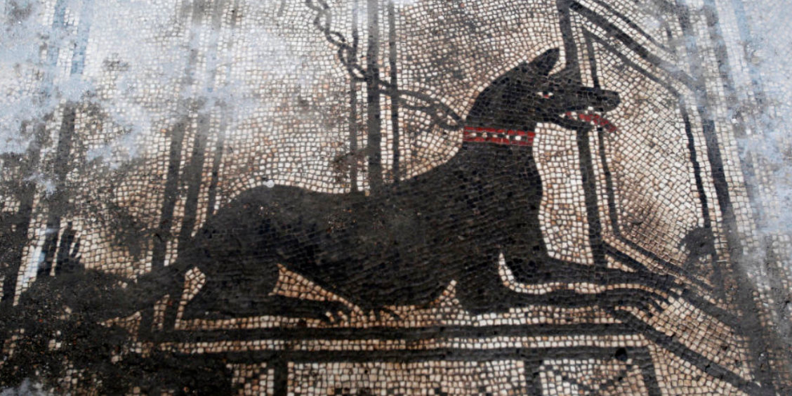 Mosaïque romaine représentant un chien noir attaché avec une chaîne et portant un collier rouge, située dans la Maison de Paquius Proculus à Pompéi.