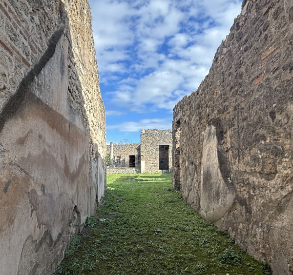 Murs en ruine et passage herbeux de la Maison du Cithariste à Pompéi.