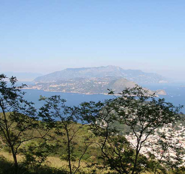 Vue panoramique depuis le Monte Solaro sur l'île de Capri, la péninsule sorrentine et le Vésuve au loin.