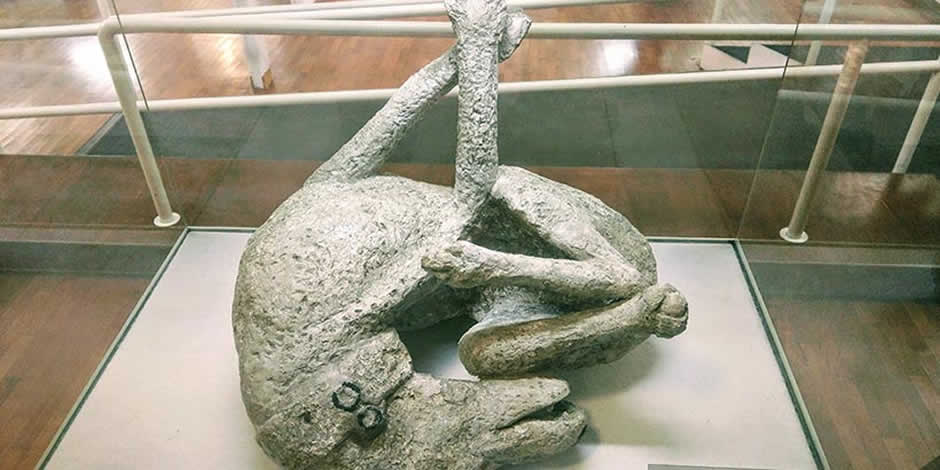 Célèbre moulage en plâtre d'un chien mourant lors de l'éruption, exposé à l'Antiquarium de Boscoreale.