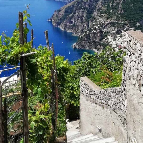 Escaliers en pierre et vignobles à Nocelle avec vue panoramique sur Positano et la Côte Amalfitaine.