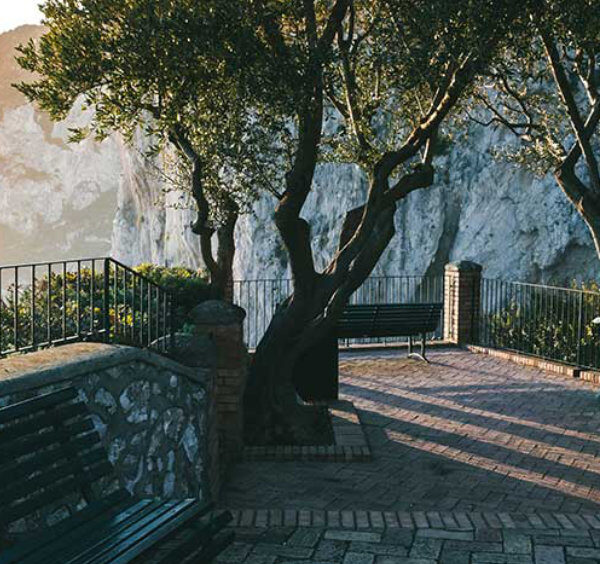 Terrasse avec bancs et arbres face aux imposantes falaises de Capri au coucher du soleil.
