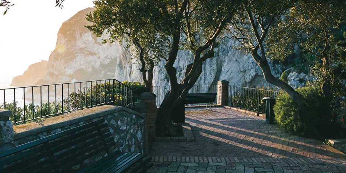 Terrasse avec bancs et arbres face aux imposantes falaises de Capri au coucher du soleil.