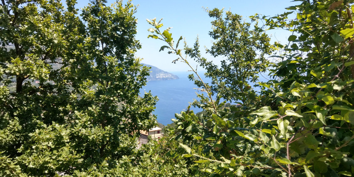 Vue panoramique depuis Colli di Fontanelle, entre végétation méditerranéenne et mer de la côte de Sorrente.