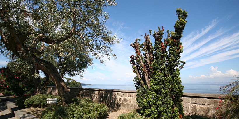 Parc de la Villa Fondi à Piano di Sorrento avec arbres méditerranéens et vue sur la mer.