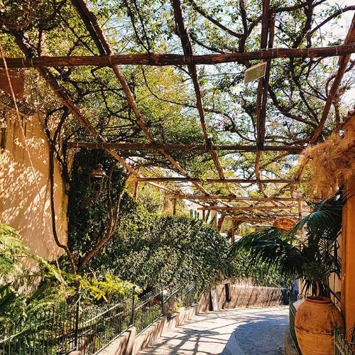 Ruelle pittoresque de Positano ombragée par une pergola de plantes grimpantes et bordée de verdure luxuriante.