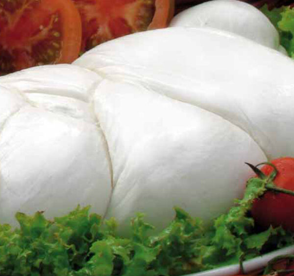 Mozzarella fraîche de Sorrente avec tomates et salade.