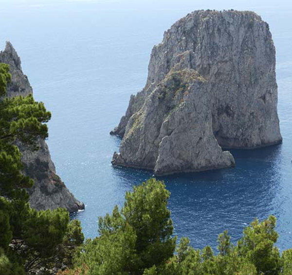 Vue des rochers Faraglioni à Capri à travers les pins avec des bateaux naviguant sur la mer bleue.