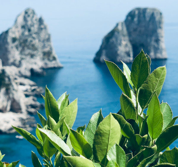 Vue panoramique sur les célèbres rochers Faraglioni de Capri.