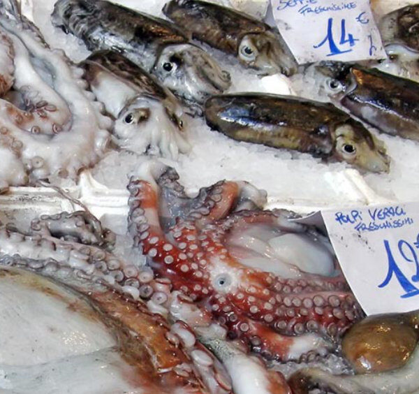 Étalage de poissons et fruits de mer frais sur un marché de rue traditionnel à Naples.