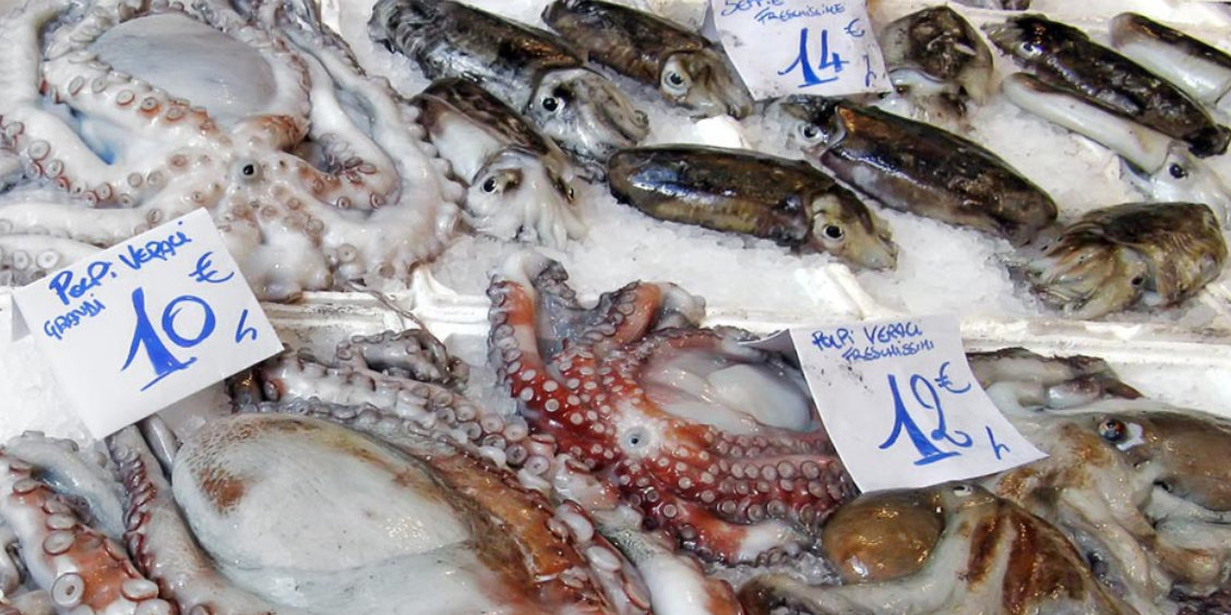 Étalage de poissons et fruits de mer frais sur un marché de rue traditionnel à Naples.