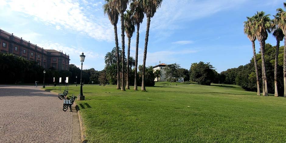 Vastes pelouses vertes et hauts palmiers du Real Bosco di Capodimonte à Naples, avec une vue sur le palais royal sur la gauche.