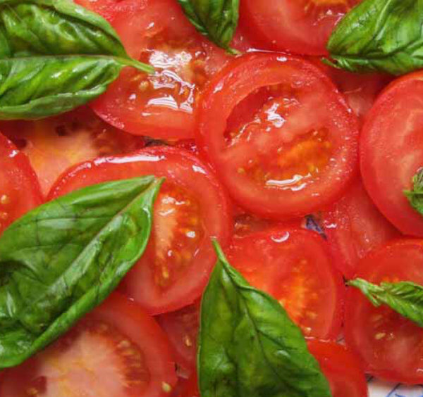 Salade de tomates napolitaines avec basilic frais et huile d’olive, spécialité italienne simple et savoureuse.