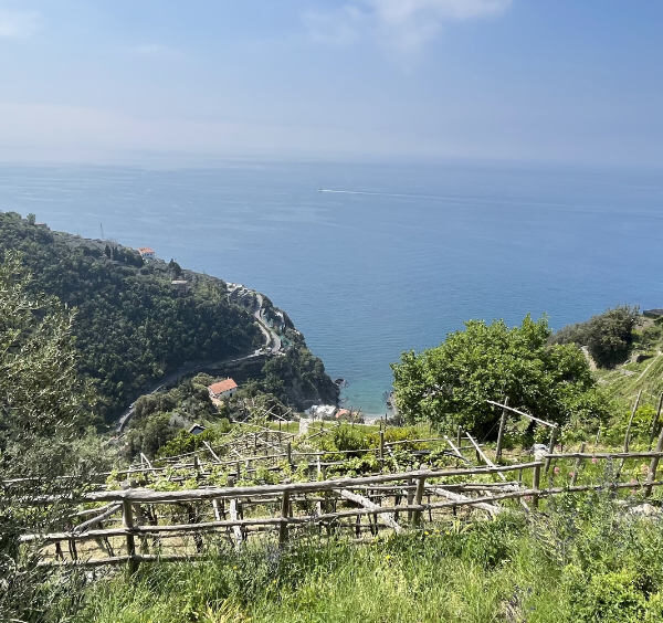 Vue panoramique sur la mer et les terrasses de culture le long du Sentier des Citrons à Maiori.