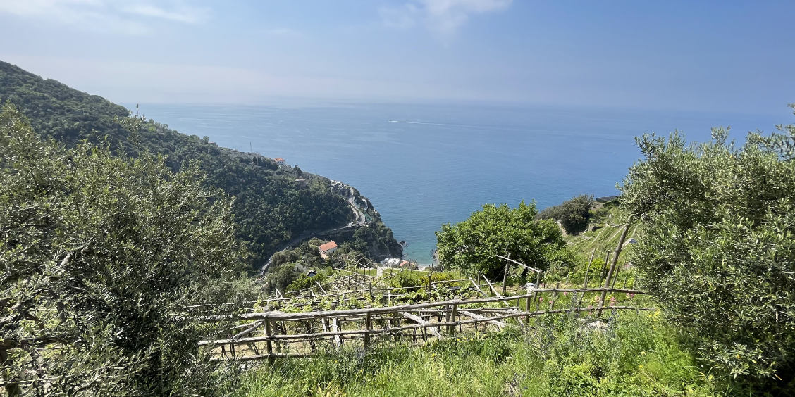 Vue panoramique sur la mer et les terrasses de culture le long du Sentier des Citrons à Maiori.