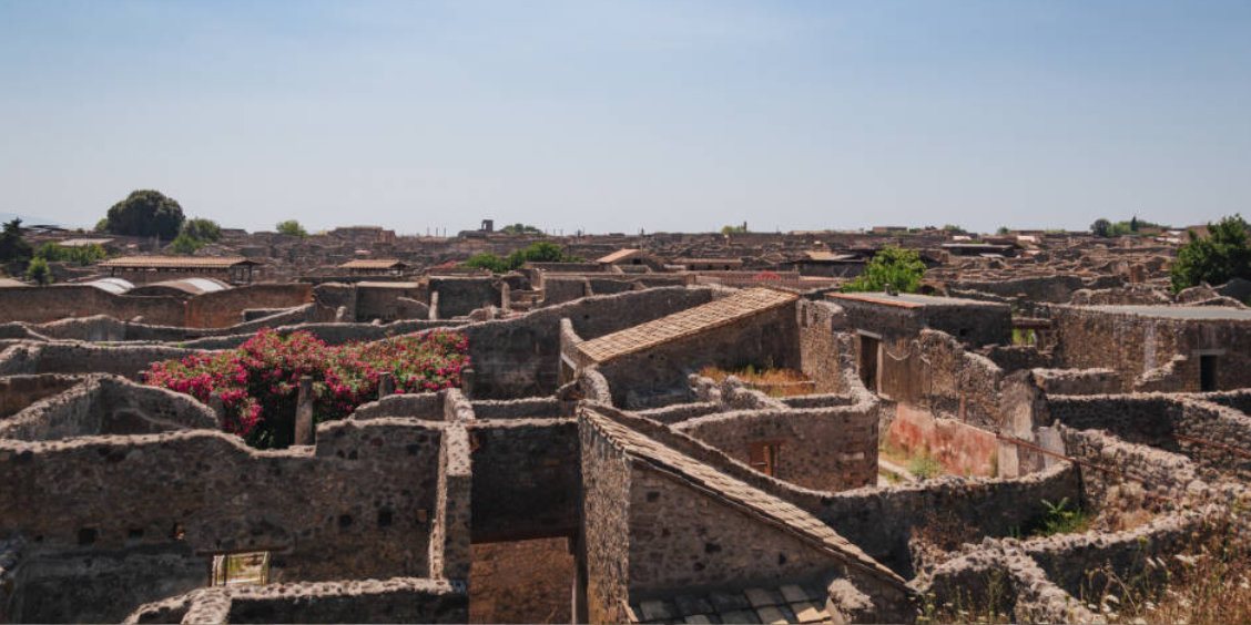 Vue d'ensemble des ruines de la cité antique de Pompéi montrant un labyrinthe de murs en pierre et de toits de tuiles, avec un buisson de fleurs roses sur la gauche.