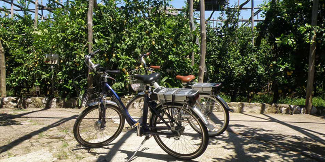 Vélos électriques à Sorrente garés sous une pergola de verdure.