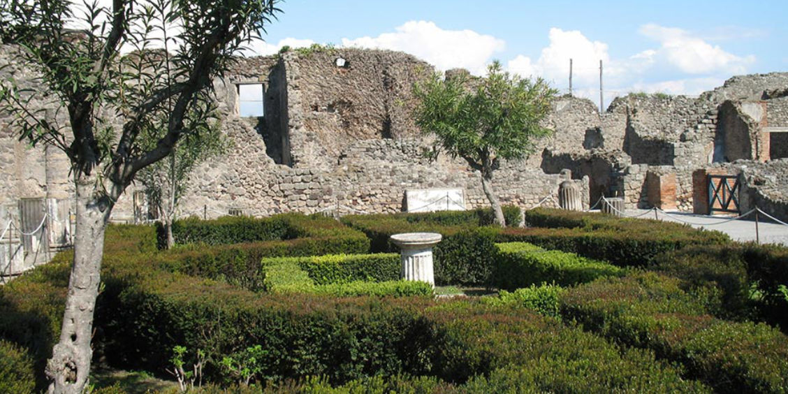 Jardin intérieur d'une villa de Pompéi avec des haies géométriques basses et des murs en ruine.