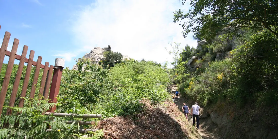 Sentier de randonnée boisé et escarpé menant vers le sommet du mont Epomeo.