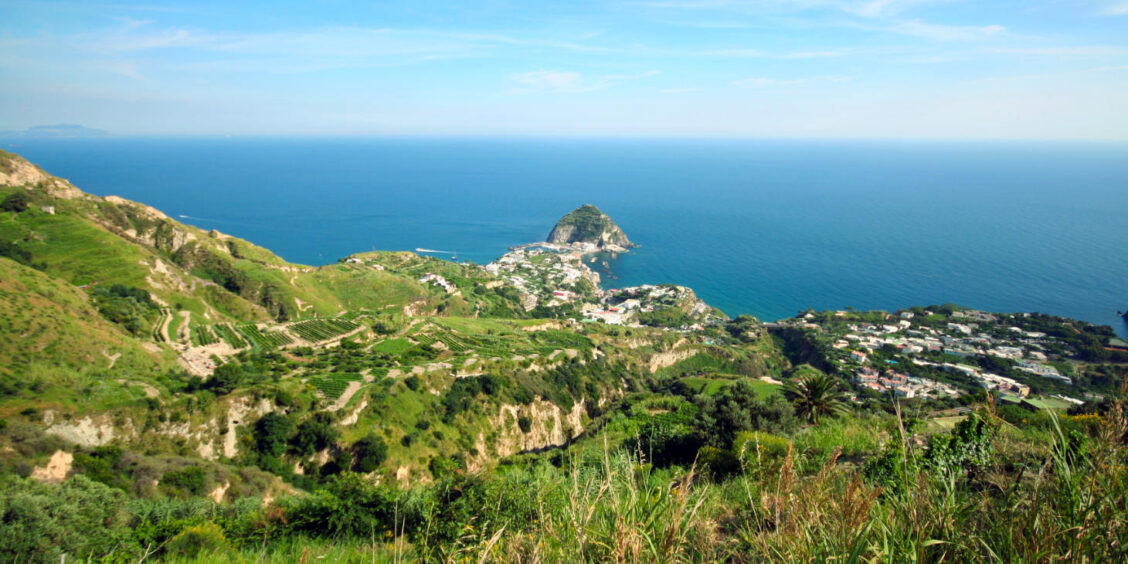 Paysage de vignobles en terrasse dominant la baie de Sant'Angelo.