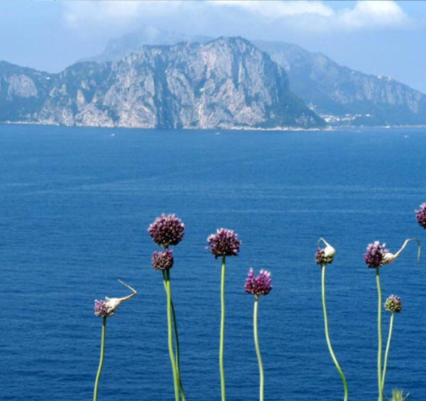 Vue de l'île de Capri depuis la mer, montrant les rochers Faraglioni.